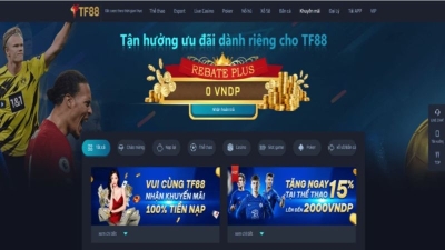 TF88 - Thế giới cá cược trực tuyến sôi động nhất 2024