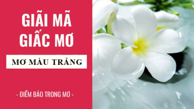 Mơ thấy hoa - Dấu hiệu cho những con số may mắn, thành công